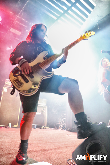 The Iron Maidens
