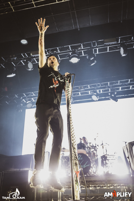 THE USED