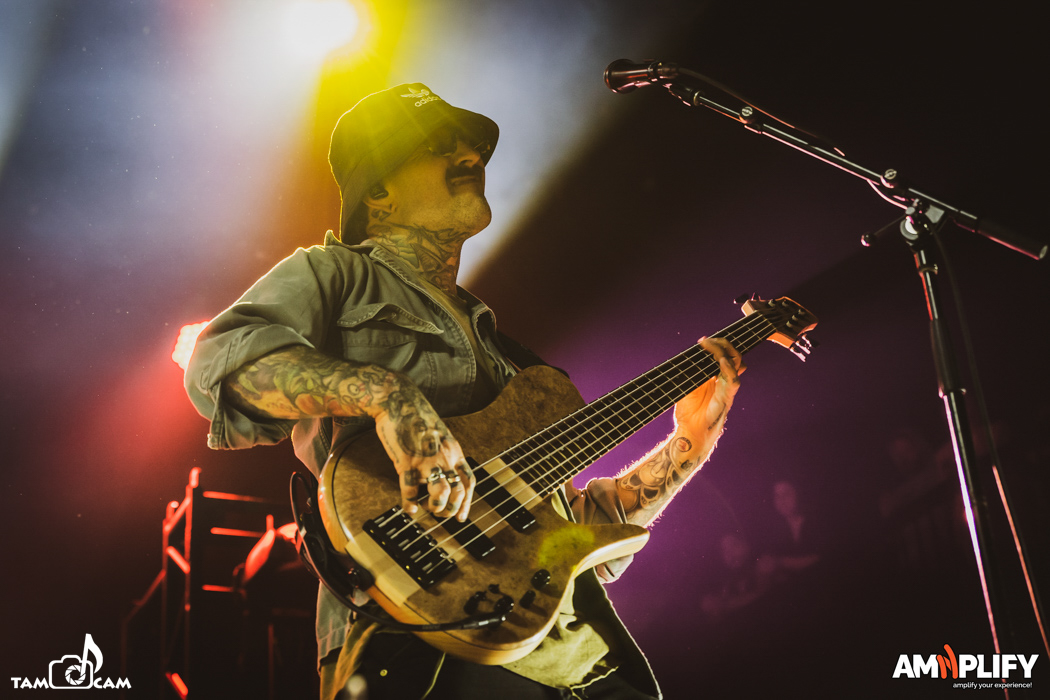 THE USED