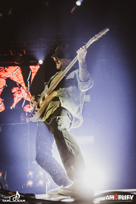 THE USED
