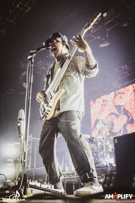 THE USED