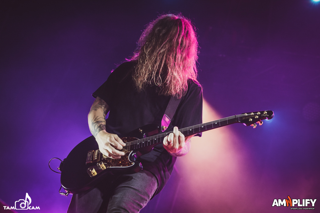 THE USED