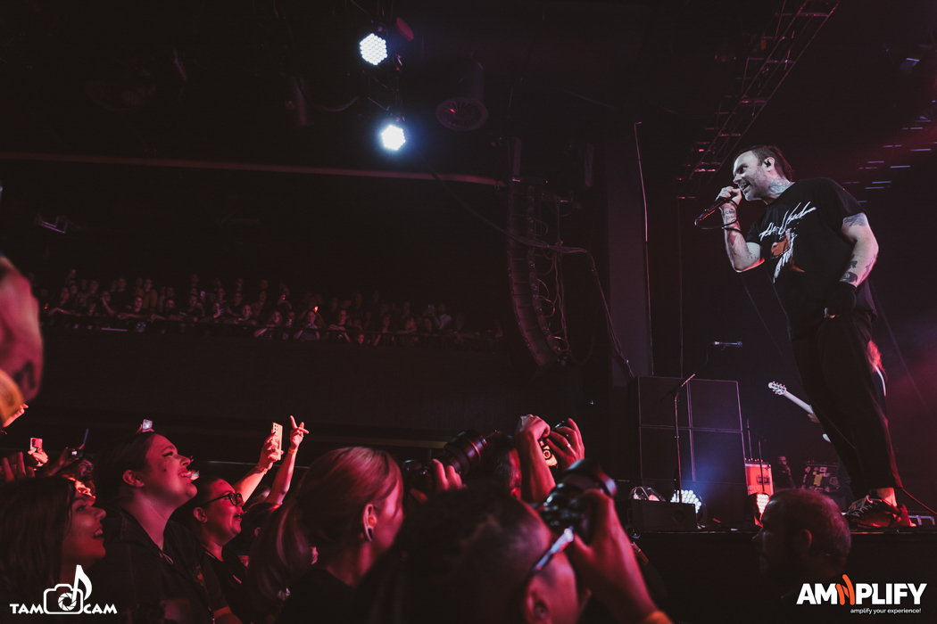THE USED