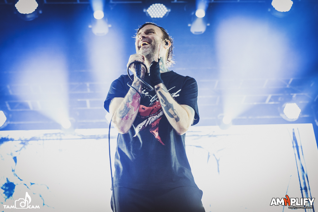 THE USED