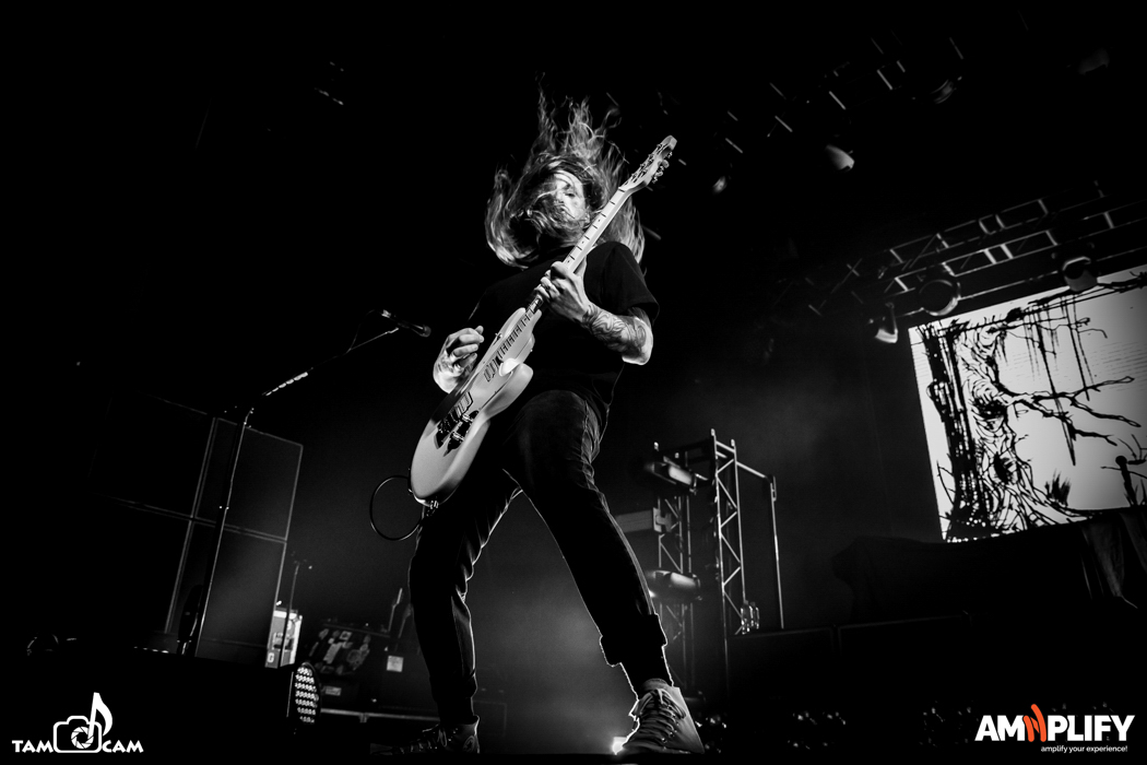 THE USED