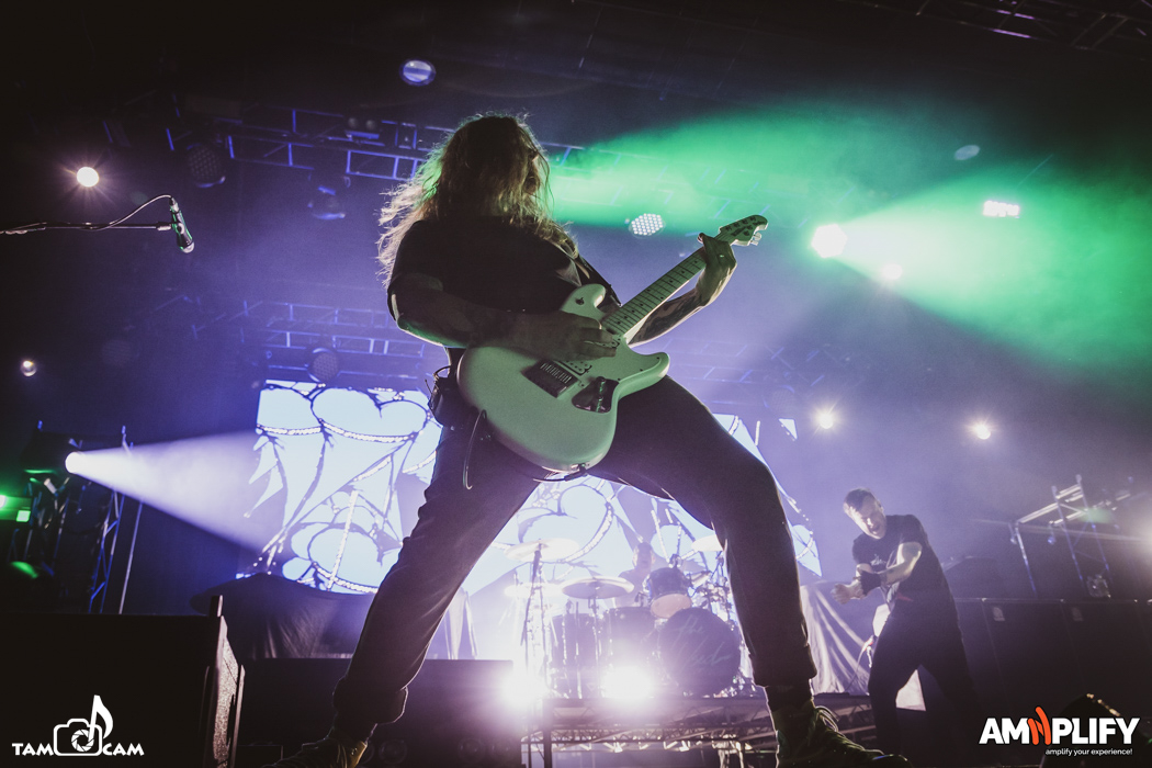 THE USED