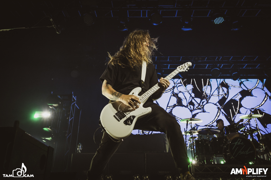 THE USED