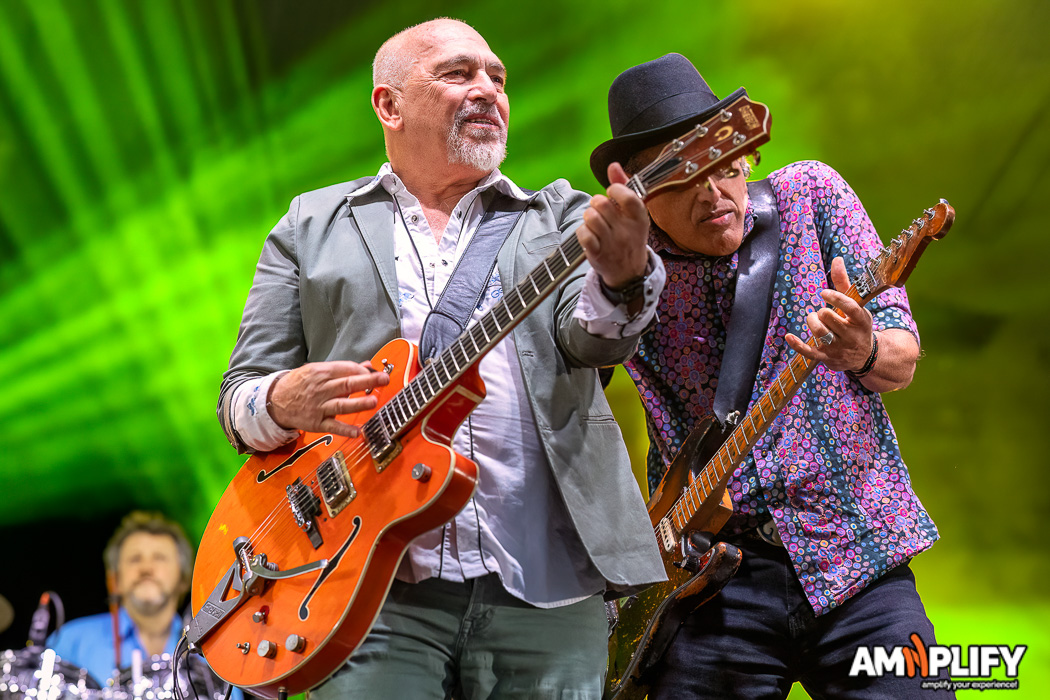 BLACK SORROWS
