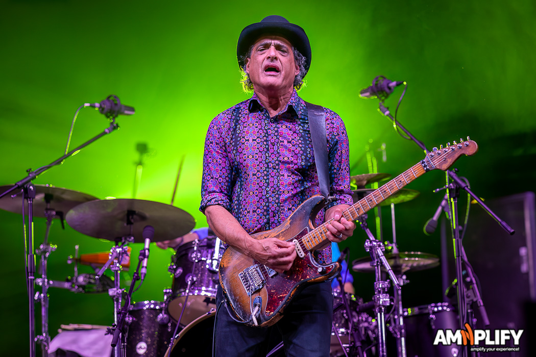 BLACK SORROWS