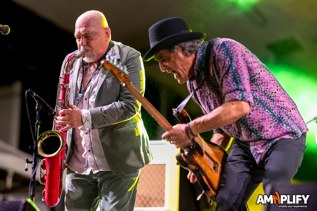 BLACK SORROWS