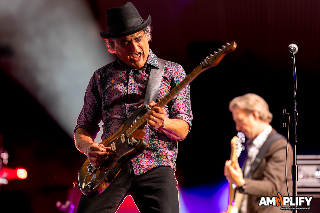 BLACK SORROWS
