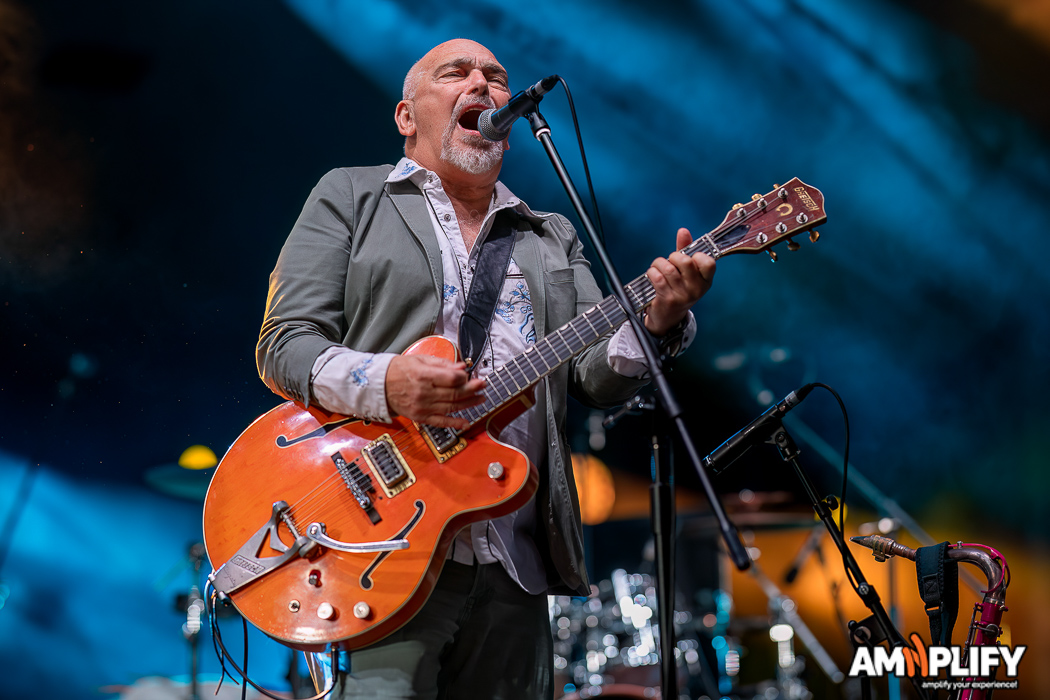 BLACK SORROWS
