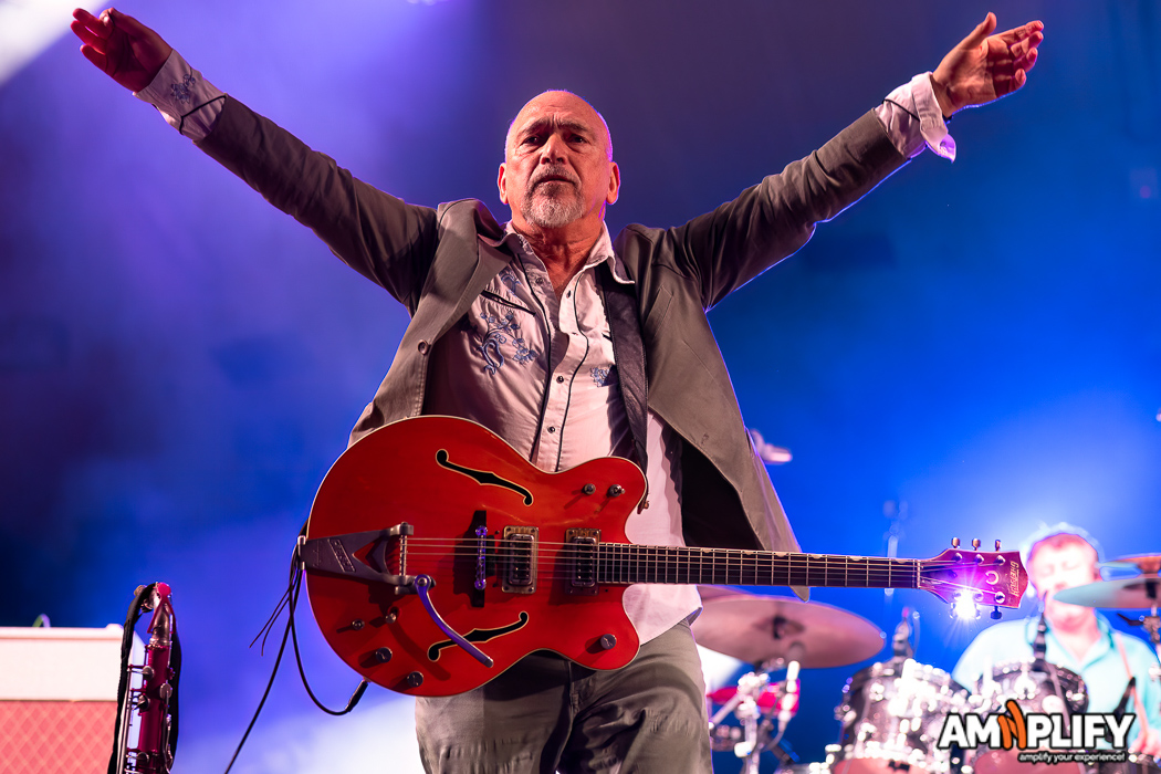 BLACK SORROWS