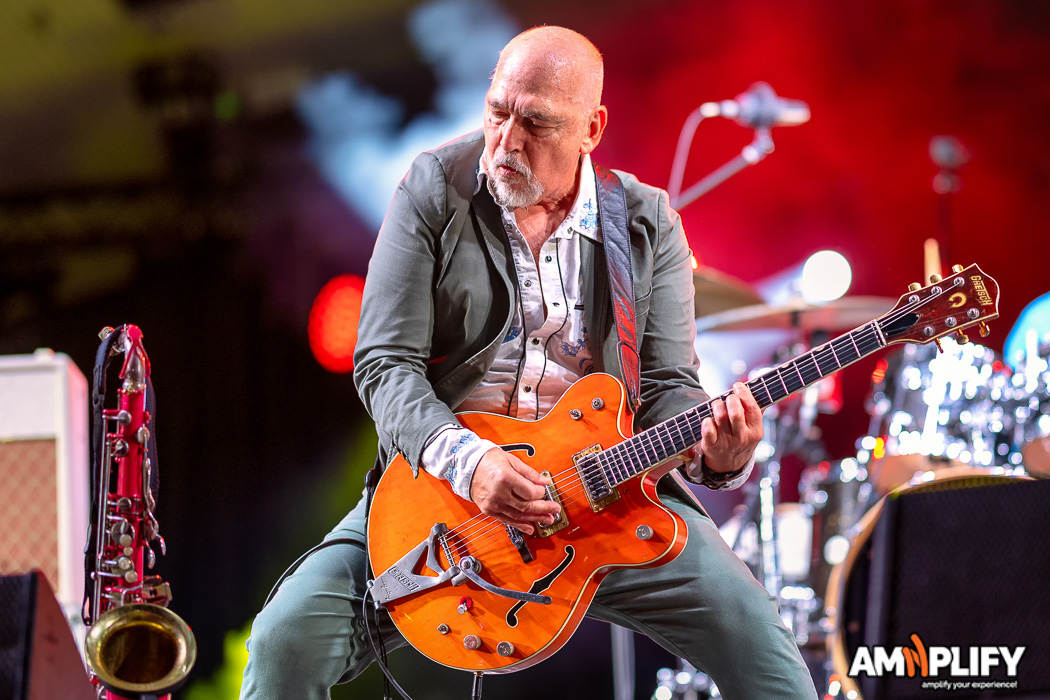 BLACK SORROWS