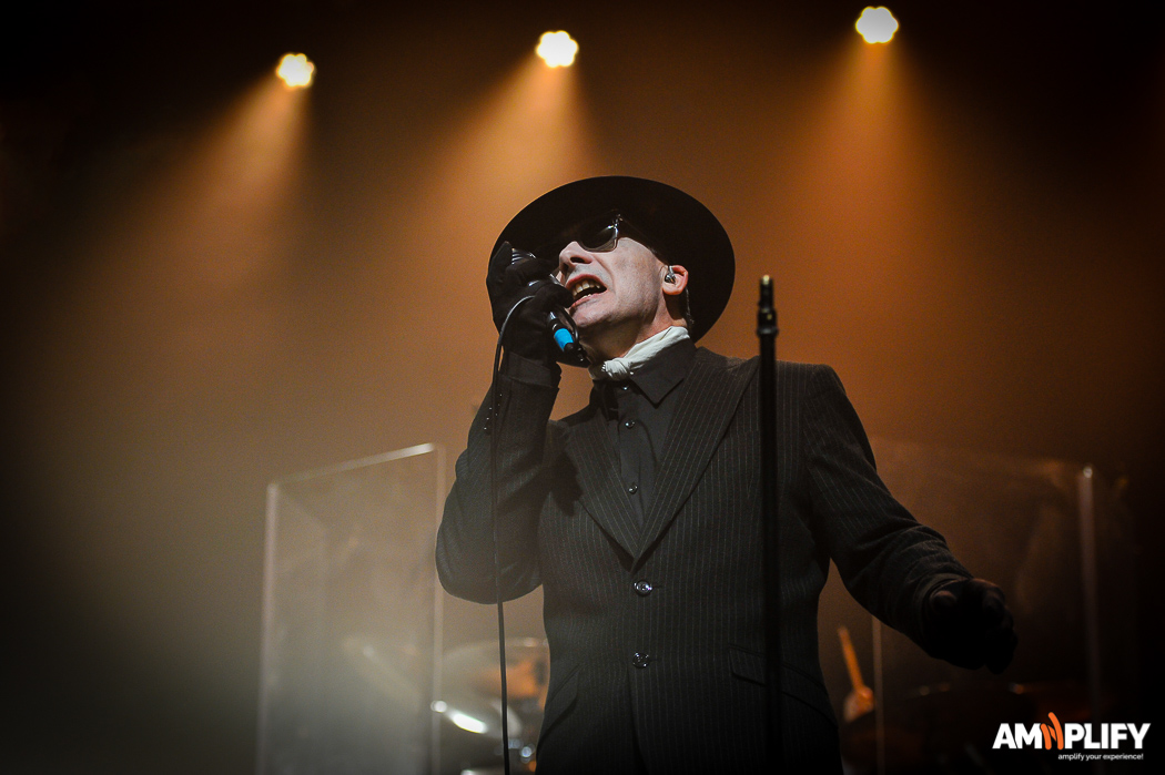 THE DAMNED