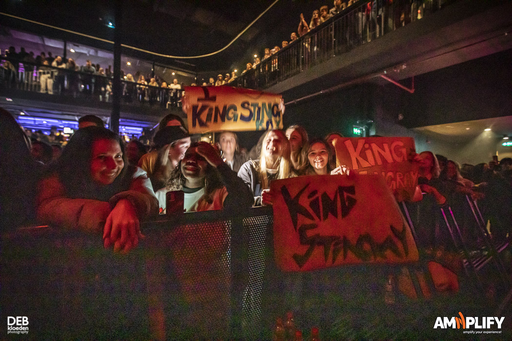 King Stingray fans