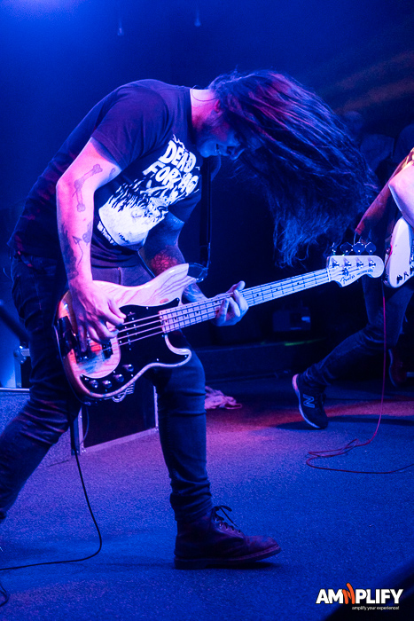 DZ Deathrays