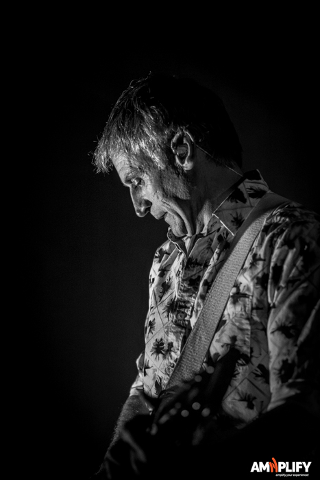 INSPIRAL CARPETS