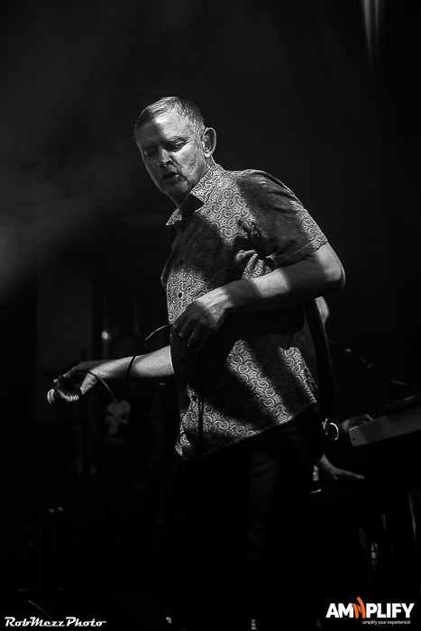 INSPIRAL CARPETS