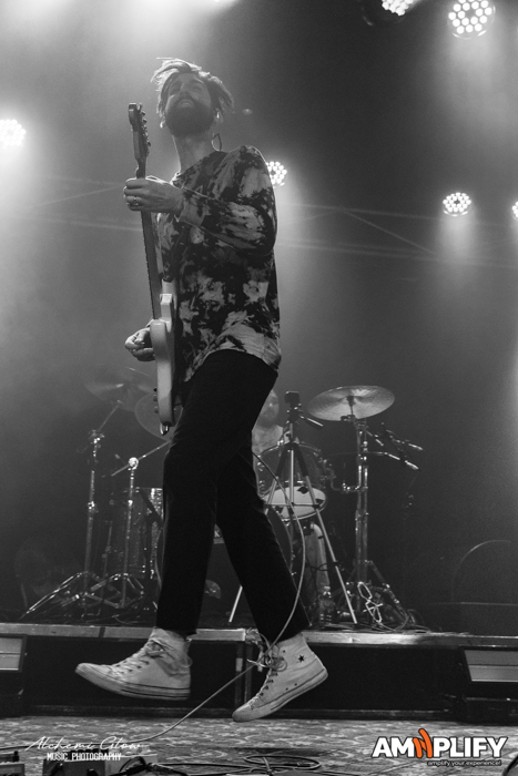 Tigers Jaw