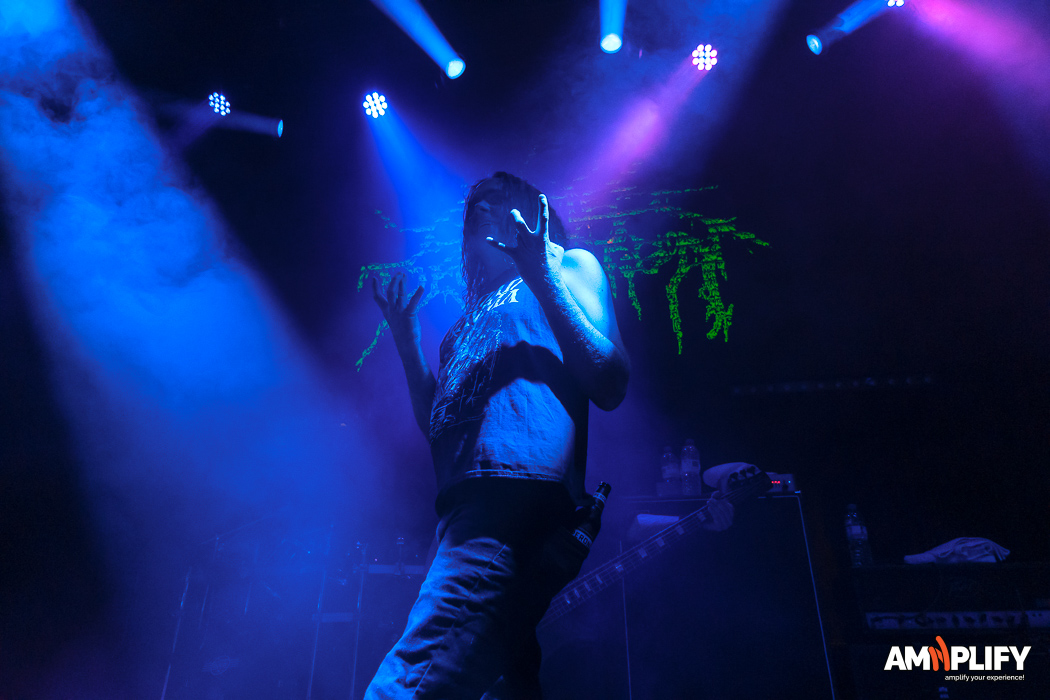 Cattle Decapitation