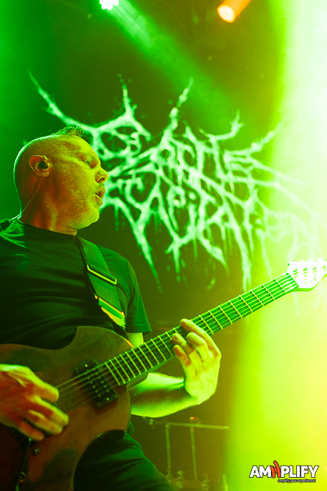 Cattle Decapitation