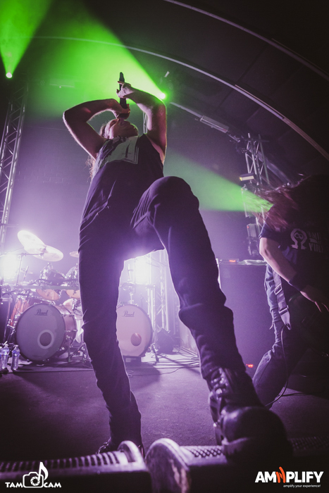 CATTLE DECAPITATION