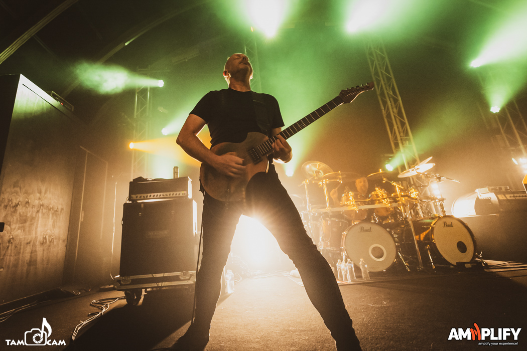 CATTLE DECAPITATION
