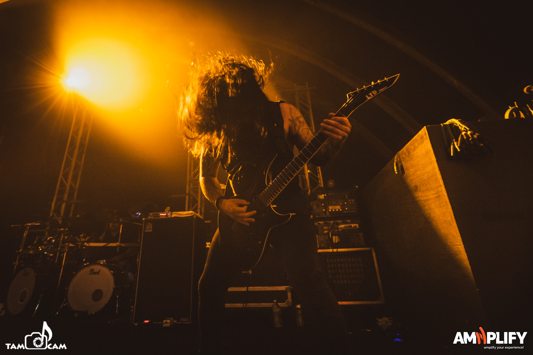 CATTLE DECAPITATION