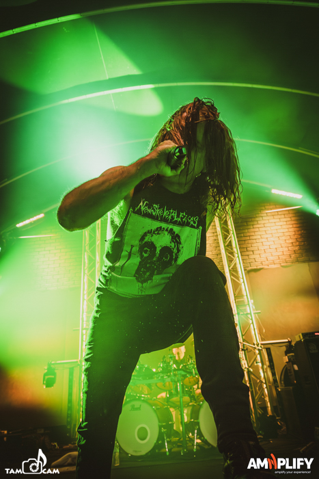 CATTLE DECAPITATION