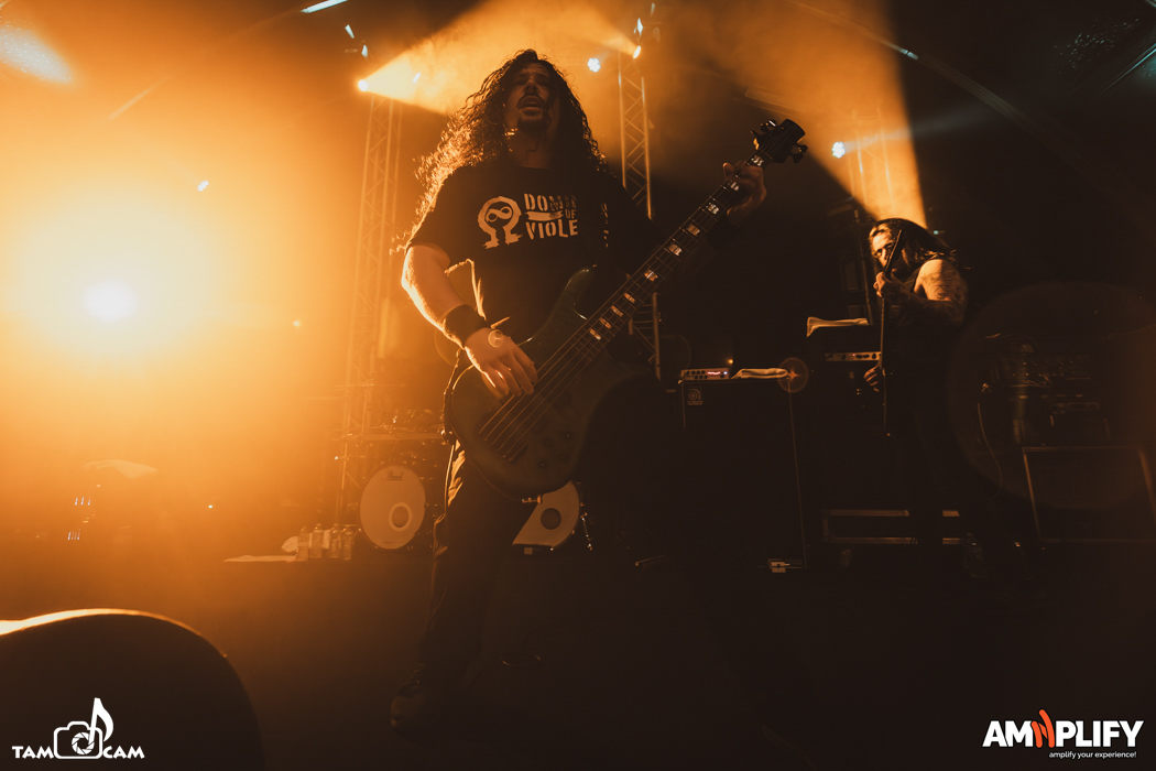 CATTLE DECAPITATION