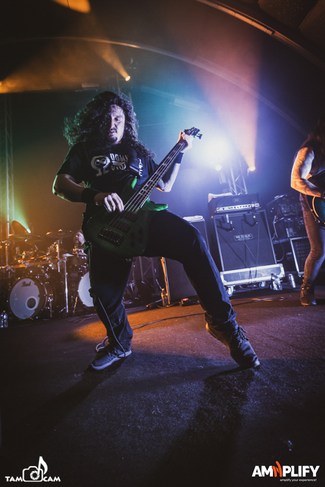 CATTLE DECAPITATION