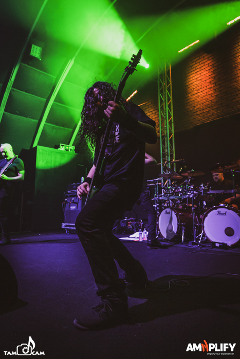 CATTLE DECAPITATION