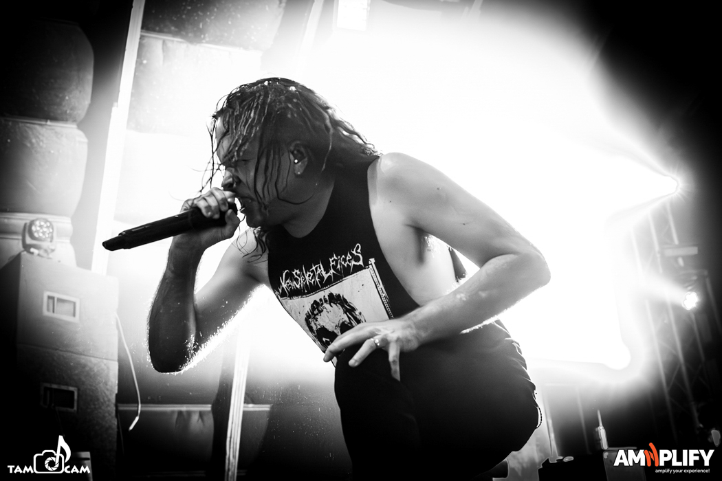 CATTLE DECAPITATION