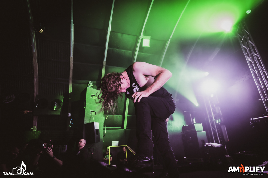 CATTLE DECAPITATION