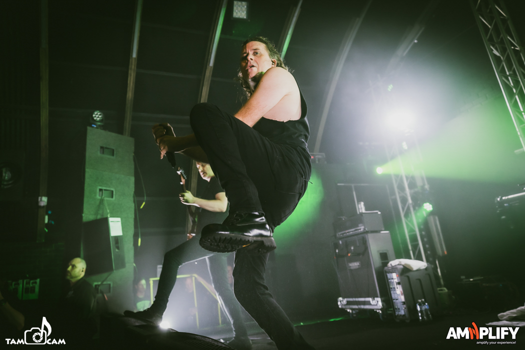 CATTLE DECAPITATION