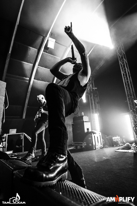 CATTLE DECAPITATION