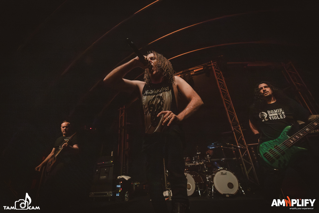 CATTLE DECAPITATION