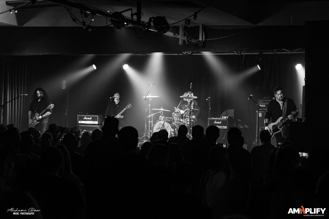 The Superjesus