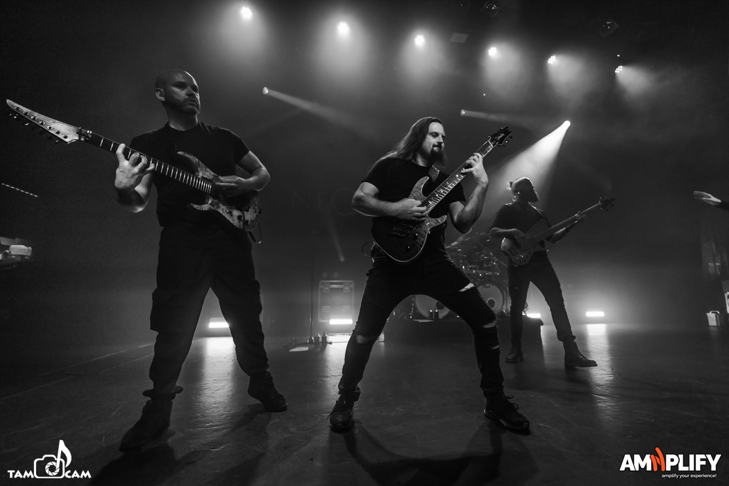 NE OBLIVISCARIS