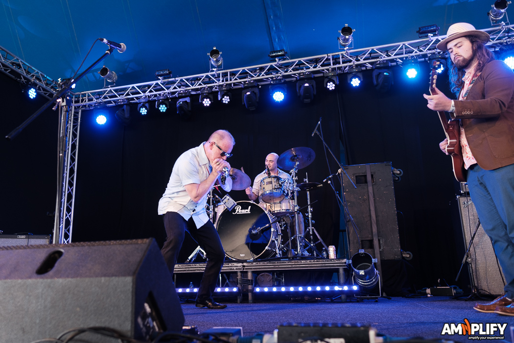 Phil Coyne and the Wayward Aces
