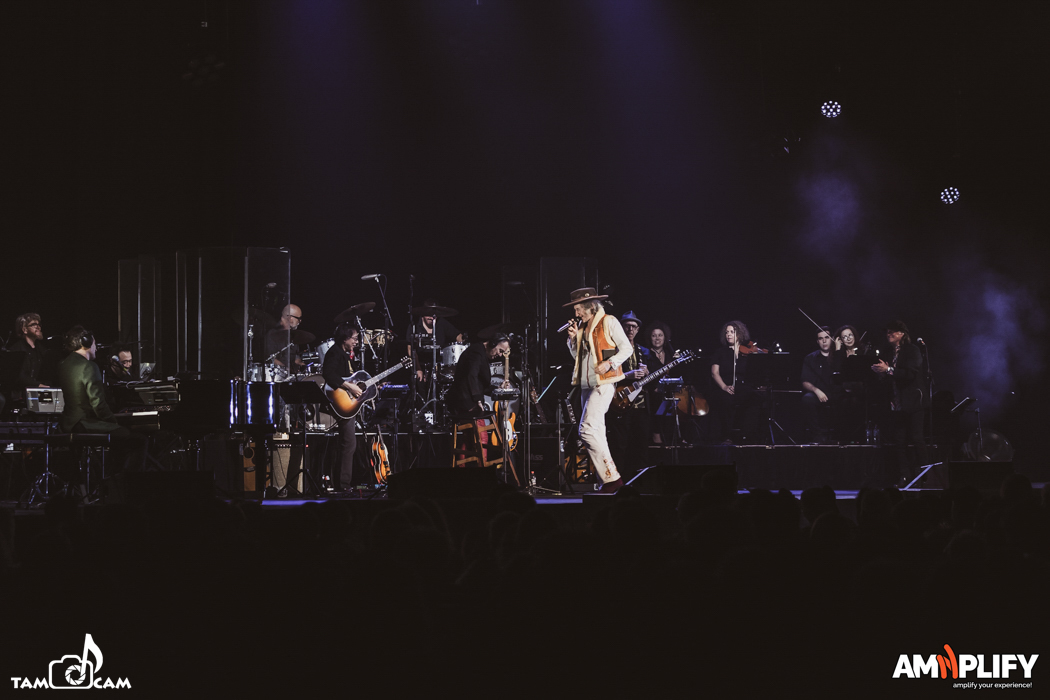 Tim Rogers, The Beatles White Album