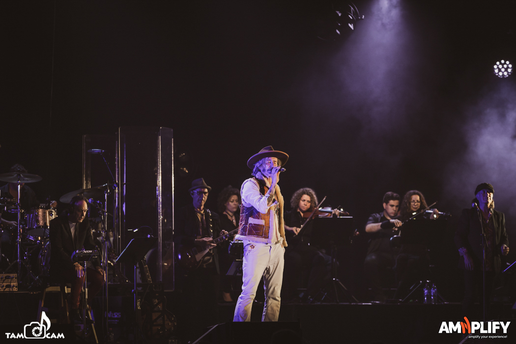 Tim Rogers, The Beatles White Album