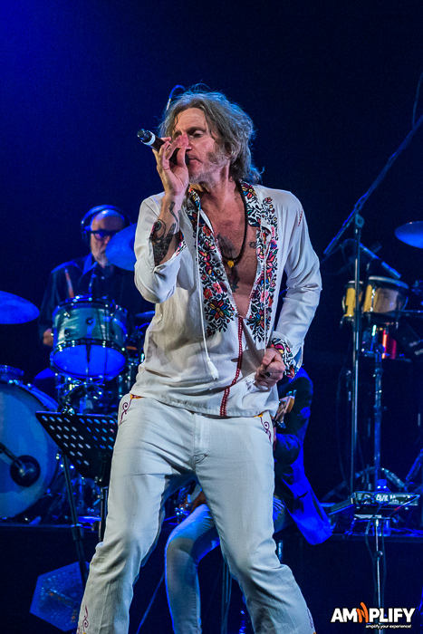 Tim Rogers