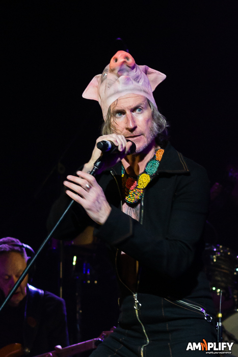 Tim Rogers