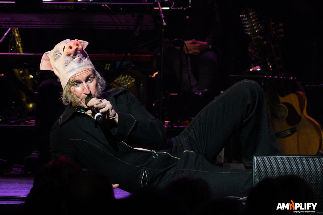 Tim Rogers