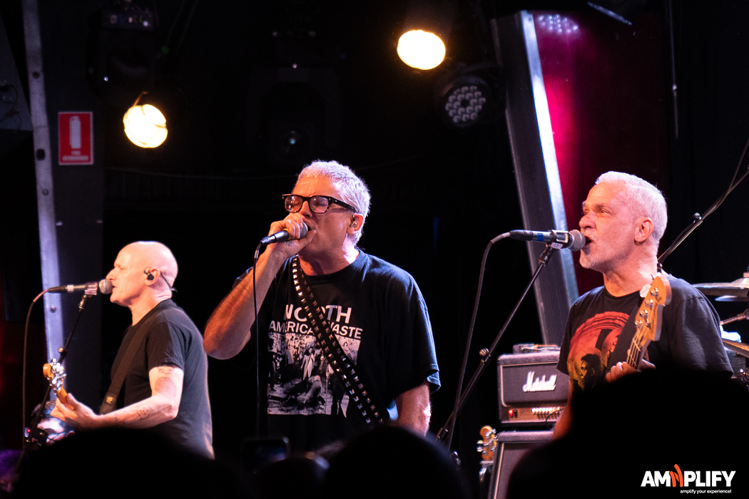 THE DESCENDENTS