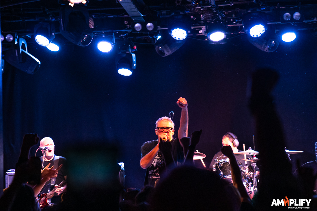 THE DESCENDENTS