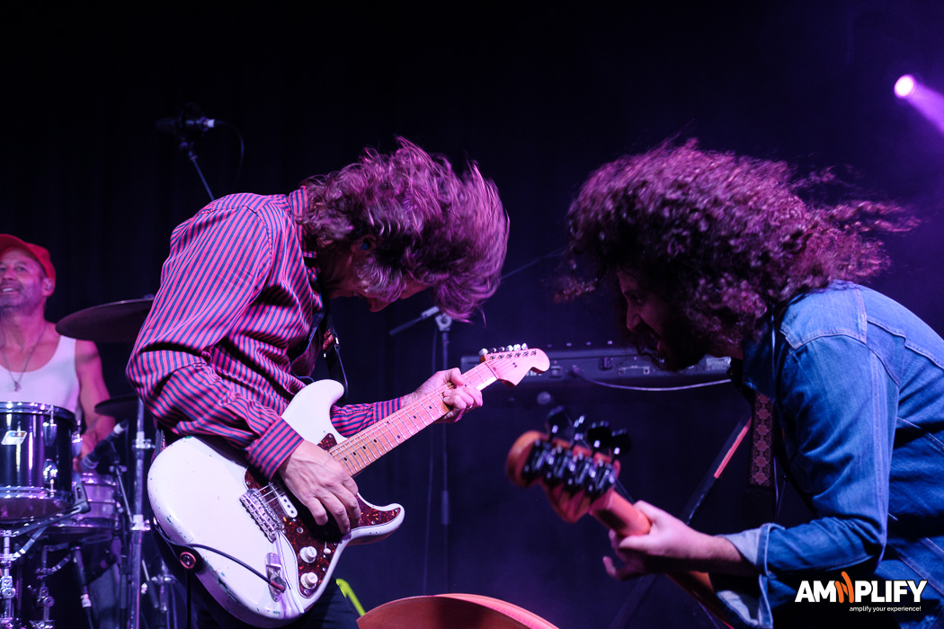 The Whitlams