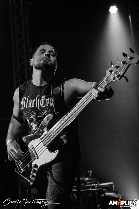 VAYER